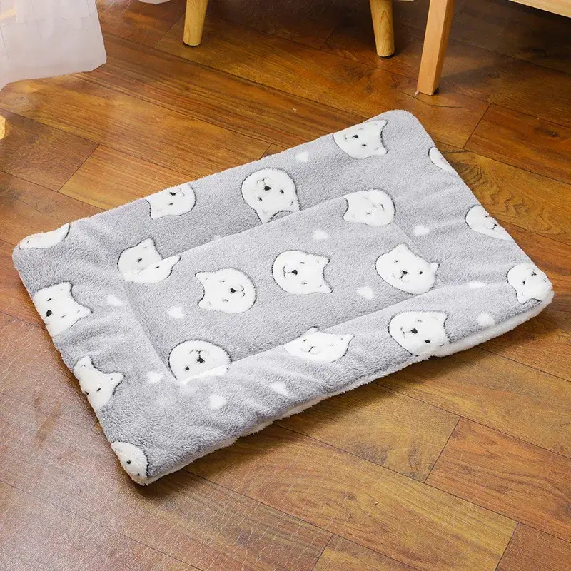Couverture Chat