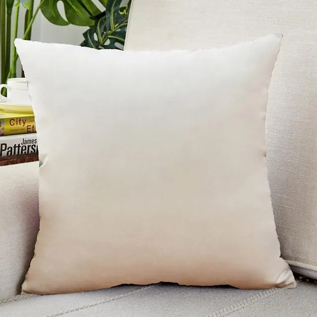 Housse de Coussin Velours 30x50cm Blanc