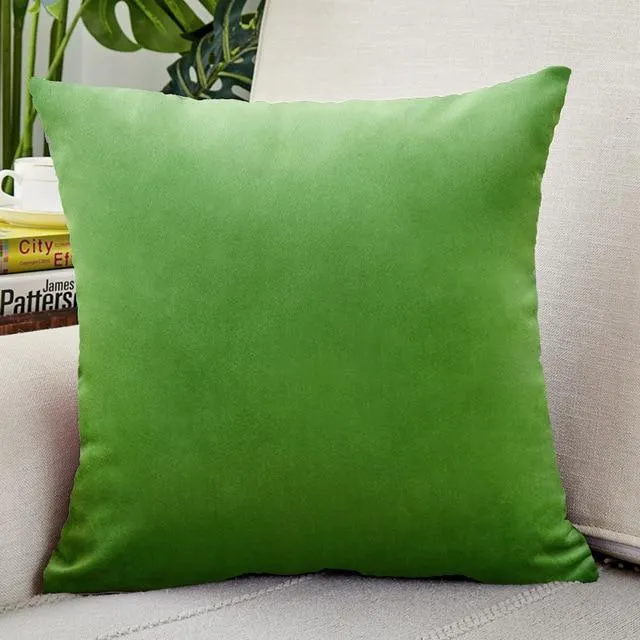 Housse de Coussin Velours 30x50cm Vert