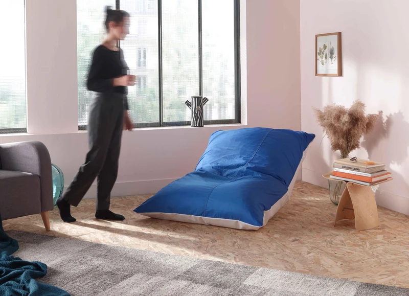 Housse de Petit Bleu