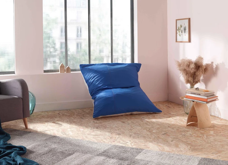 Housse de Petit Bleu