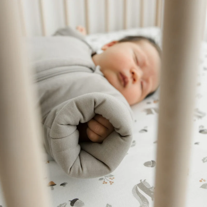 Drap Contour pour Lit de Bébé - Écureuils