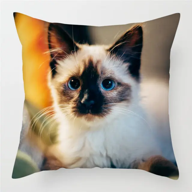 Housse de Coussin Décorative FELINO