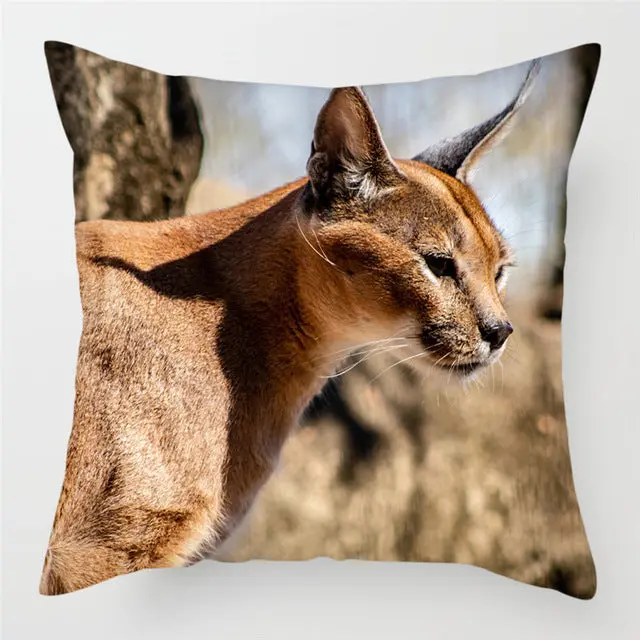 Housse de Coussin Décorative FELINO
