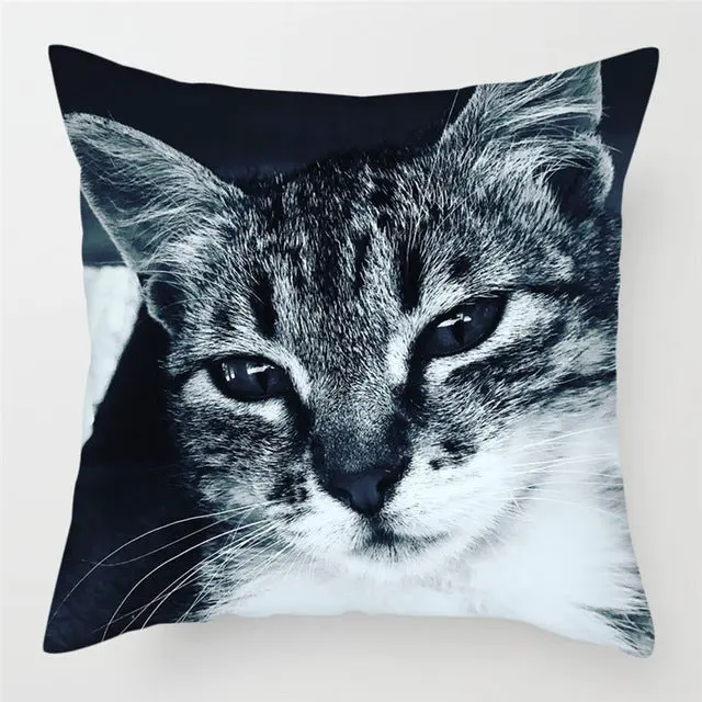 Housse de Coussin Décorative FELINO
