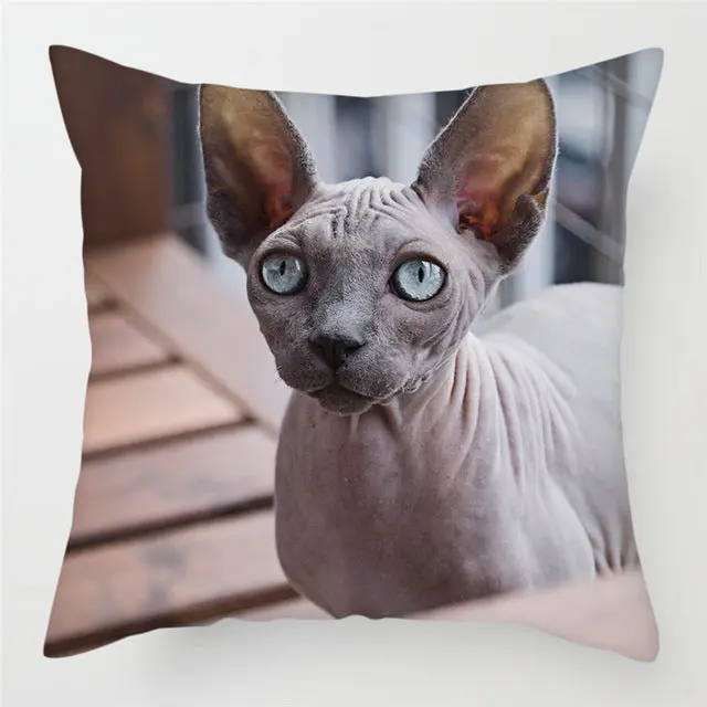 Housse de Coussin Décorative FELINO