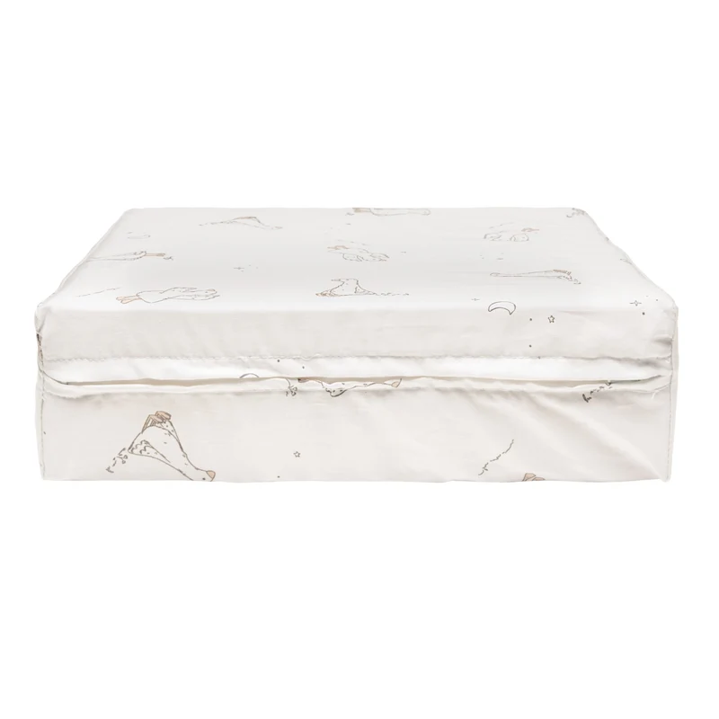 Coussin Angulaire Petit - Oies