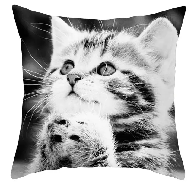 Housse de Coussin Cartoon Animal ANIDECOR