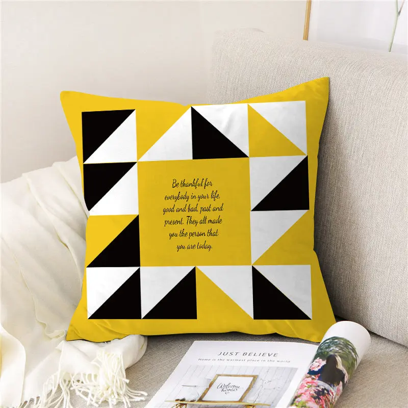 Housse de Coussin Velours PEACHE