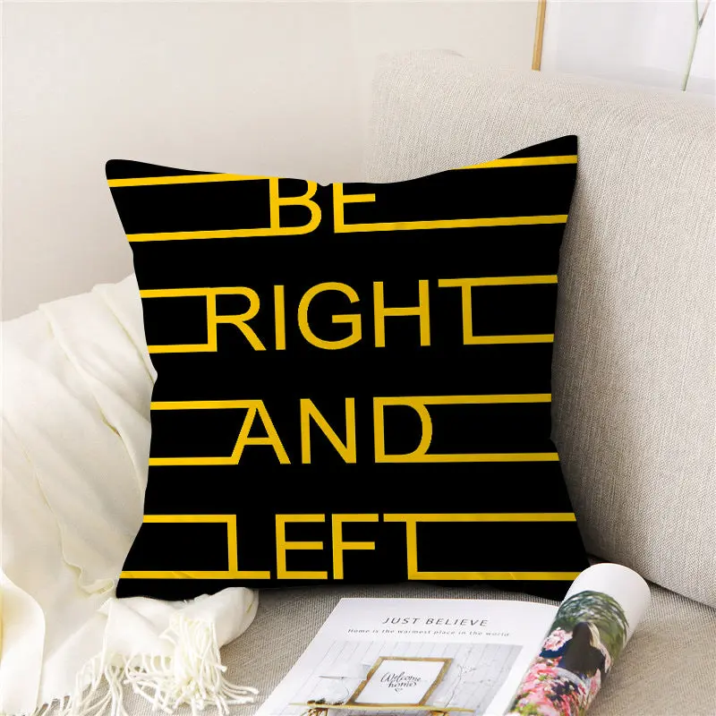 Housse de Coussin Velours PEACHE