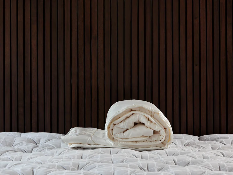 Luxury Pure Silk Duvet