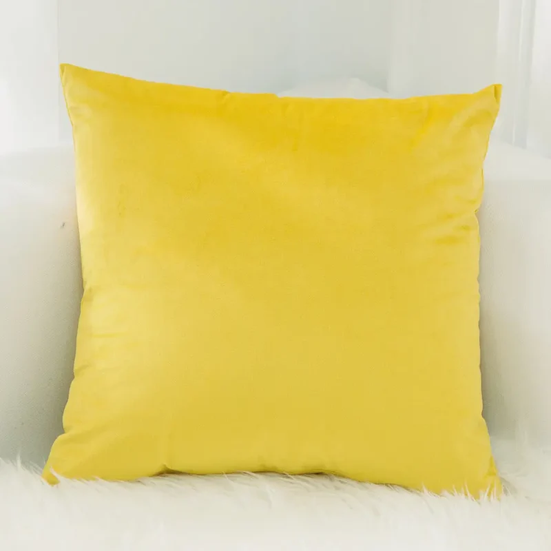 Housse de Coussin Velours FELIO