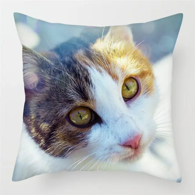 Housse de Coussin Moderne PEACHY