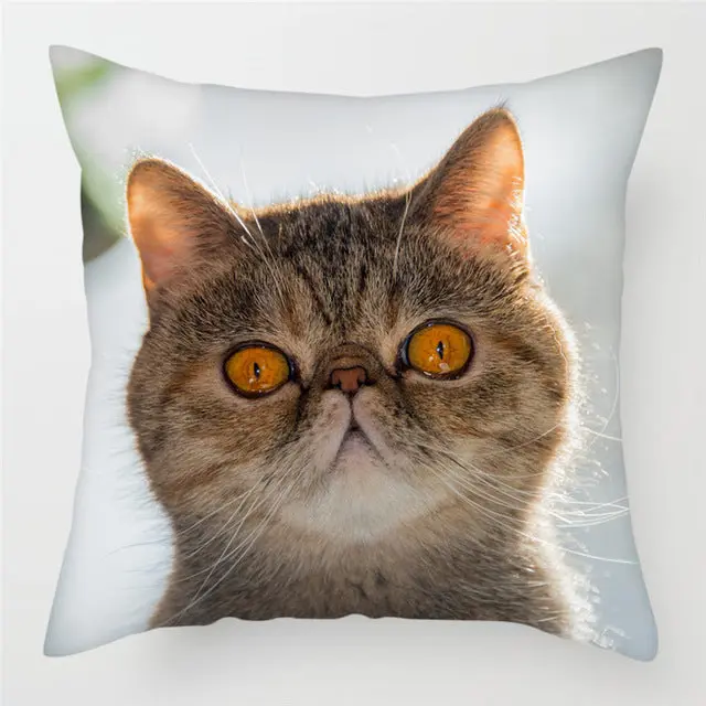 Housse de Coussin Moderne PEACHY