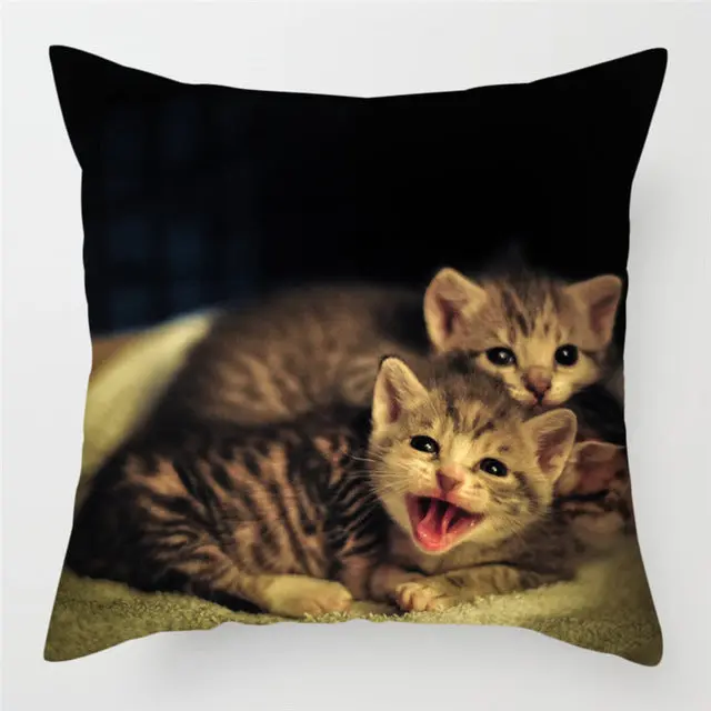 Housse de Coussin Moderne PEACHY