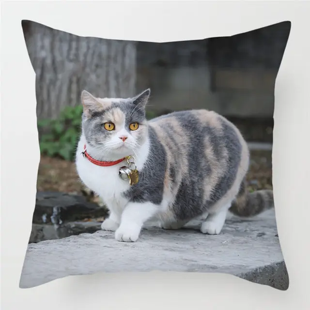 Housse de Coussin Moderne PEACHY