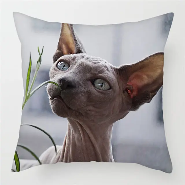 Housse de Coussin Moderne PEACHY