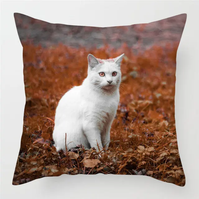 Housse de Coussin Moderne PEACHY