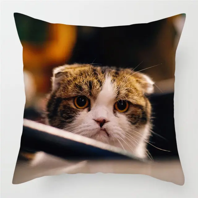 Housse de Coussin Moderne PEACHY