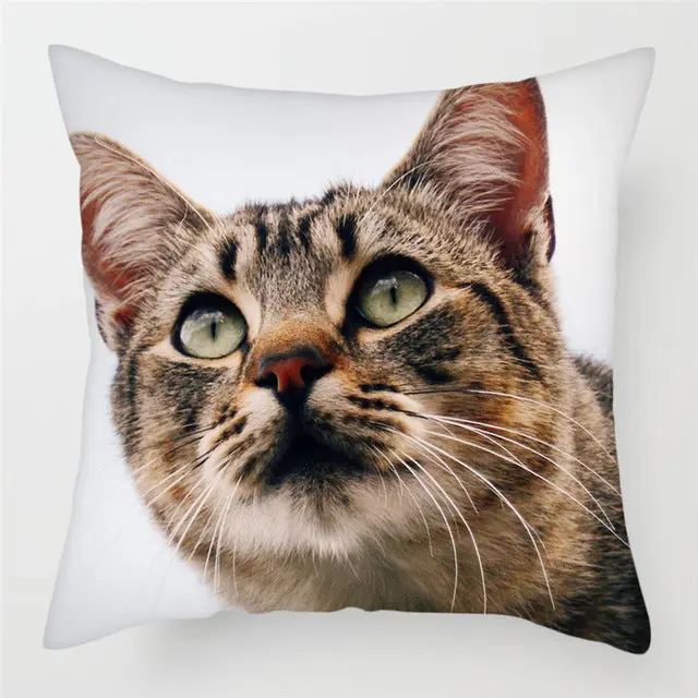 Housse de Coussin Moderne PEACHY