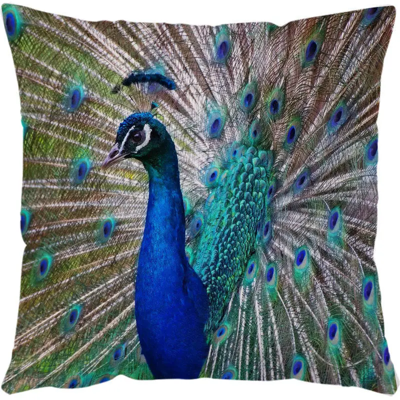 Housses de coussin TURTLE