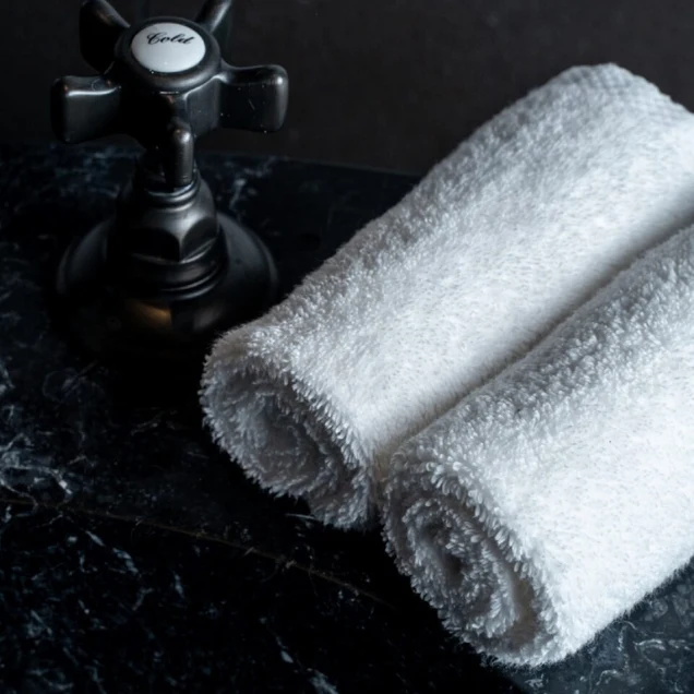 LOT DE 2 SERVIETTES ET 2 CARRES COUR DES VOSGES