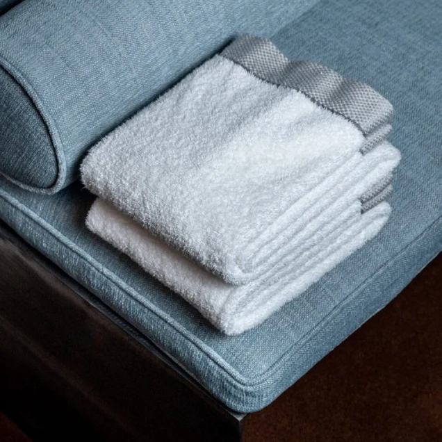 LOT DE 2 DRAPS DE BAIN COUR DES VOSGES