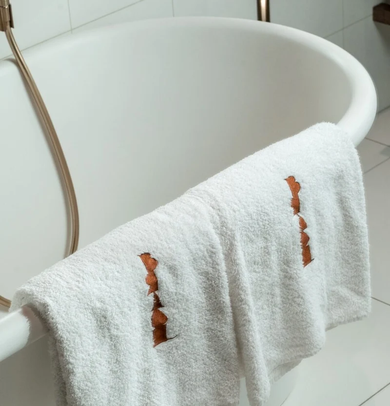 LOT DE 2 DRAPS DE BAIN BRACH