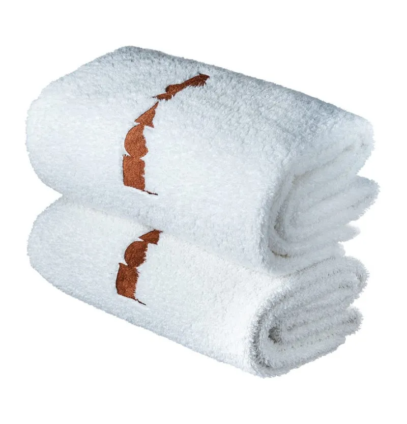 LOT DE 2 DRAPS DE BAIN BRACH